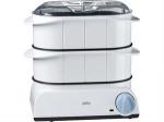 Braun FS 20